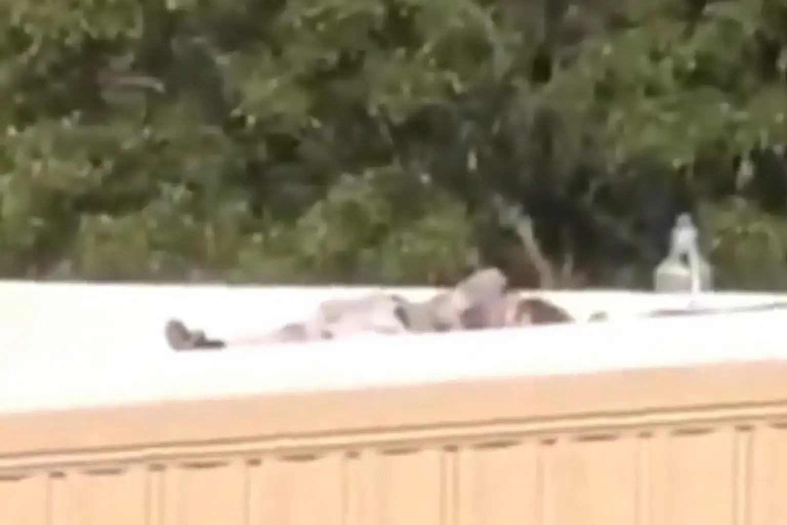[IMAGE -- Witness Said He Tried To Warn Secret Service And Police About A Man With A Rifle On The Roof At Trump's Ralley Before The President Was Shot, July 13, 2023]